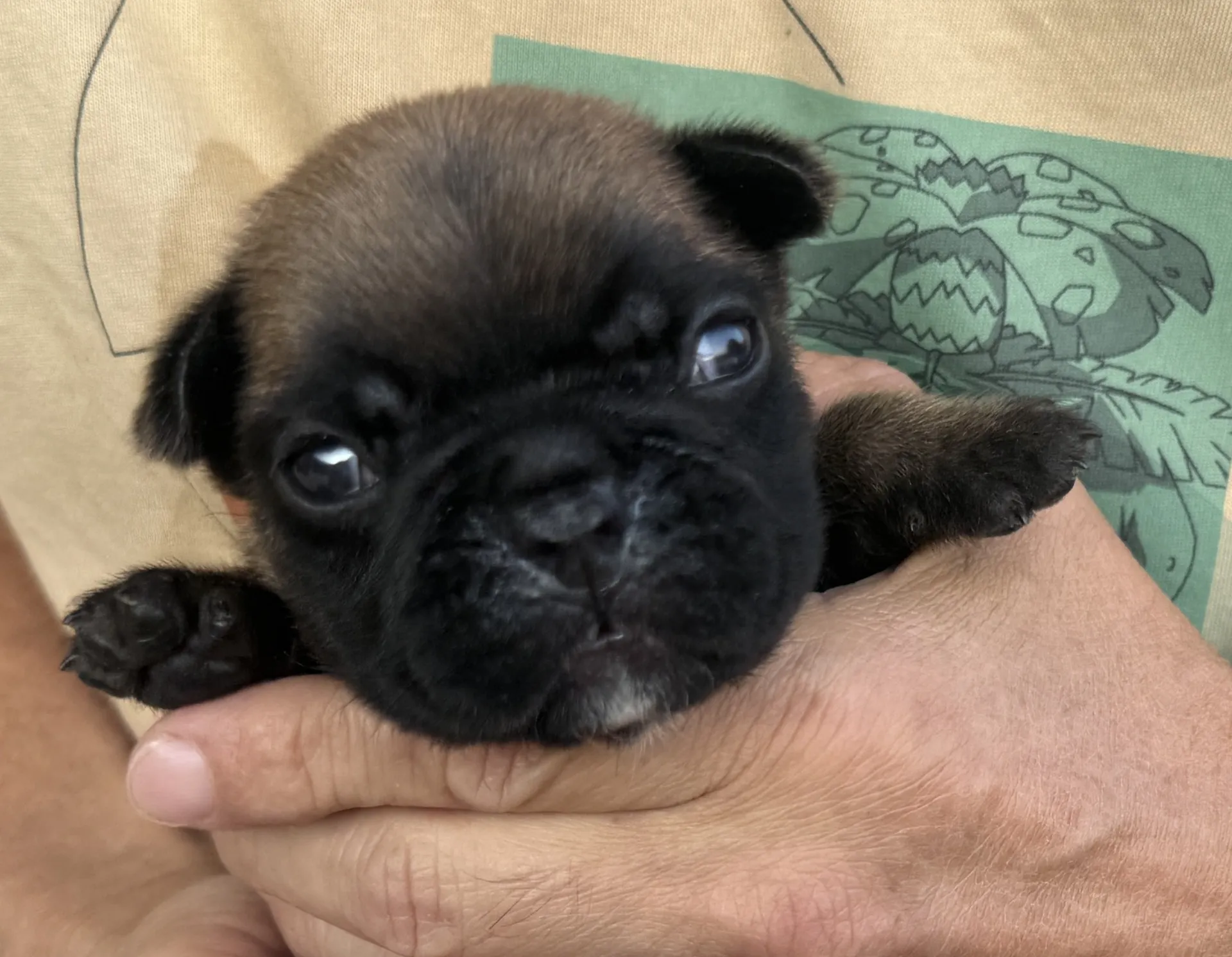 ご家族様募集中