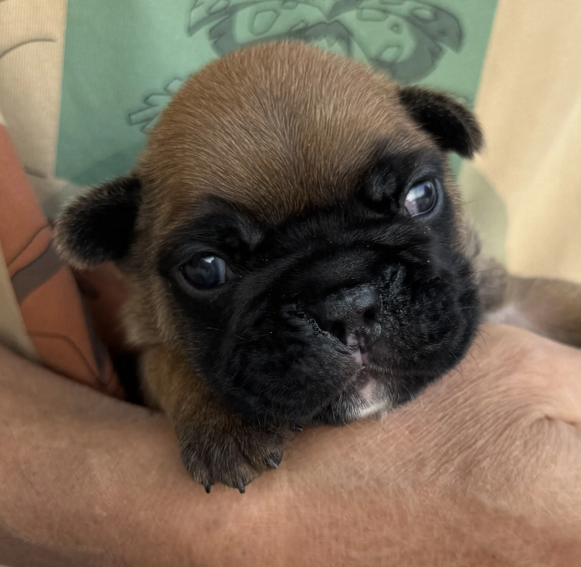 ご家族様募集中