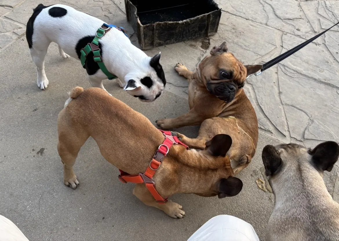 福岡県糸島と下関から里帰りに来て下さいました